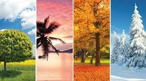 images (26)